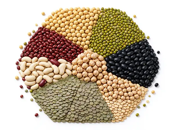 Beans Packaging Machines Solutions